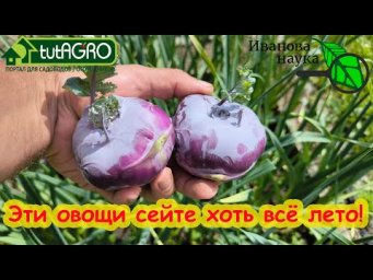 ЭТИ ОВОЩИ СЕЙТЕ В ИЮНЕ! Капуста без рассады - сейте хоть всё лето! Запреты на посев в июне.