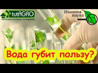 ОСТОРОЖНО! Эта вода убивает ваши биопрепараты! Так считают блогеры, но правда ли это?