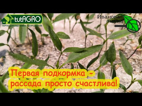 ГОРАЗДО ЛУЧШЕ КРИСТАЛОНА! ЗАПОМНИТЕ ЭТОТ РЕЦЕПТ пригодится на весь сезон. Сухая удобрительная смесь ГОРАЗДО ЛУЧШЕ КРИСТАЛОНА! ЗАПОМНИТЕ ЭТОТ РЕЦЕПТ пригодится на весь сезон. Сухая удобрительная смесь