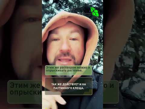 Забудьте про Актару! Нашел натуральное средство в 10 раз мощнее.