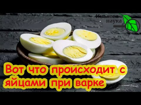 ПЕРЕСТАНЬТЕ ЕСТЬ ЯЙЦА неправильно! Вот почему яйца вызывают усталость и слабость. Правильная готовка