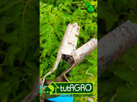 Купил на Wildberries и пожалел. Деньги на ветер. Приспособление для лунок. Сажалка для луковиц.