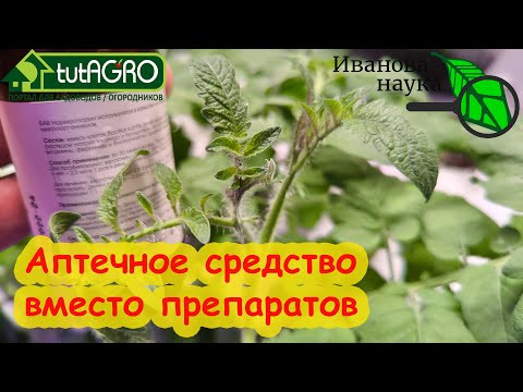 ФИТОСПОРИН ИЗ АПТЕКИ: уникальные средства от всех болезней: человека, животных и растений. ФИТОСПОРИН ИЗ АПТЕКИ: уникальные средства от всех болезней: человека, животных и растений.