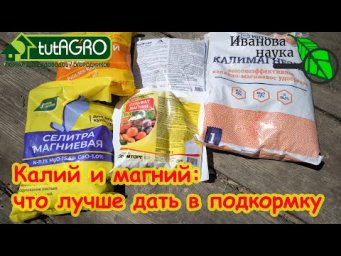 ТОМАТАМ В ПОДКОРМКУ ДАЮ ТОЛЬКО ЭТО! Калий и магний для томатов: что выбрать для подкормки.