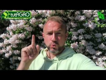 ОСТОРОЖНО! Двери открываются! Закрывать или открывать теплицу на ночь?
