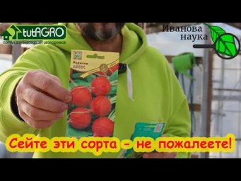 ЧТО ПОСЕЯТЬ В МАРТЕ В ТЕПЛИЦУ НА РАННИЙ УРОЖАЙ. Эти сорта отдадут урожай до рассады. Двойная выгода