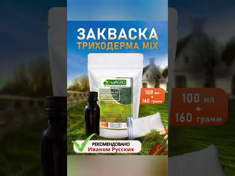 Цитрусовые корочки против морковной и луковой мухи - рецепт нерабочий. Цитрусовые корочки против морковной и луковой мухи - рецепт нерабочий.