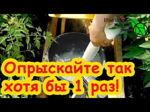 КОПЕЕЧНОЕ СРЕДСТВО ДЛЯ ОБРАБОТКИ СЕМЯН, РАССАДЫ, ТЕПЛИЦЫ и ВСЕГО САДА. Одна капля и все под защитой! КОПЕЕЧНОЕ СРЕДСТВО ДЛЯ ОБРАБОТКИ СЕМЯН, РАССАДЫ, ТЕПЛИЦЫ и ВСЕГО САДА. Одна капля и все под защитой!