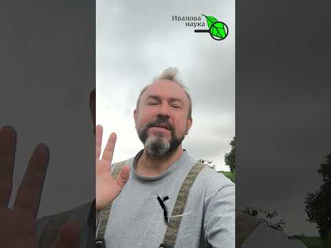 НАВОЗ БОЛЬШЕ НЕ НУЖЕН! Капля этого средства заменит любой компост. Тонны огурцов почти бесплатно! НАВОЗ БОЛЬШЕ НЕ НУЖЕН! Капля этого средства заменит любой компост. Тонны огурцов почти бесплатно!