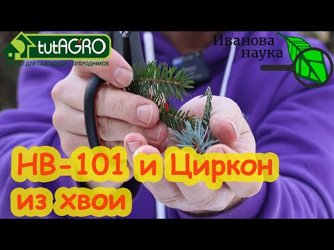 НВ-101 и ЦИРКОН - своими руками. Приготовление стимулятора растений из хвои. НВ-101 и ЦИРКОН - своими руками. Приготовление стимулятора растений из хвои.