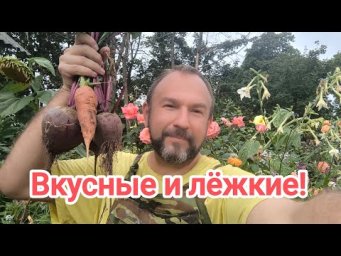 КОГДА УБИРАТЬ СВЁКЛУ и МОРКОВЬ, чтобы они были сладкими и лёжкими.Не торопитесь с уборкой урожая!