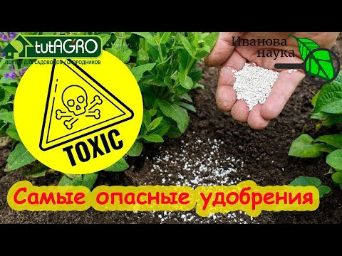 САМЫЕ ОПАСНЫЕ УДОБРЕНИЯ, КОТОРЫЕ ОТРАВЯТ УРОЖАЙ! Как не вырастить отраву в саду и в огороде.