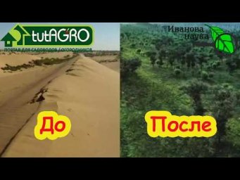 Это ДЕЙСТВИТЕЛЬНО работает! Озеленяем даже пустыню! Как вырастить урожай на голом песке.