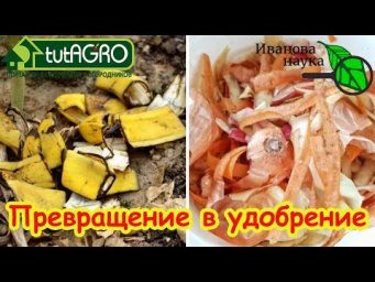 Удобрение из мусора: 0 рублей, 100% пользы! Как заставить соседей завидовать вашим урожаям.