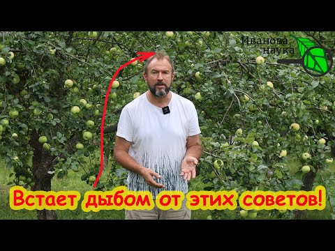 ЭТО ПОЧВЕ НЕ ПОМОЖЕТ, А ТОЛЬКО НАВРЕДИТ! Чем НЕ НАДО и чем ЛУЧШЕ обеззараживать почву. ЭТО ПОЧВЕ НЕ ПОМОЖЕТ, А ТОЛЬКО НАВРЕДИТ! Чем НЕ НАДО и чем ЛУЧШЕ обеззараживать почву.