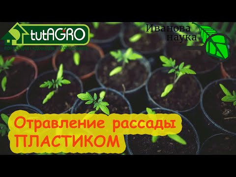 НЕПИЩЕВОЙ ПЛАСТИК ПОД ЗАПРЕТОМ? В какой пластик можно сажать рассаду. НЕПИЩЕВОЙ ПЛАСТИК ПОД ЗАПРЕТОМ? В какой пластик можно сажать рассаду.