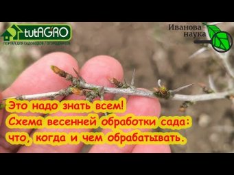 ВЕСЕННЯЯ ОБРАБОТКА САДА: 4 фазы развития почек и какие препараты когда использовать. Полная схема.
