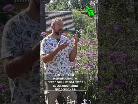 Плодородная почва = ОГРОМНЫЙ урожай! ЧУДО за копейки!