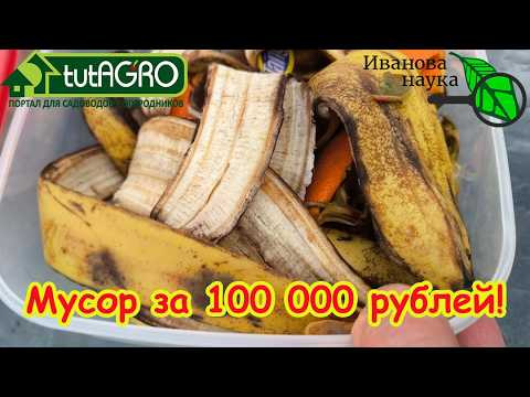 Ваши соседи выбрасывают миллионы! Как превратить мусор в деньги: полностью реальный способ. Ваши соседи выбрасывают миллионы! Как превратить мусор в деньги: полностью реальный способ.