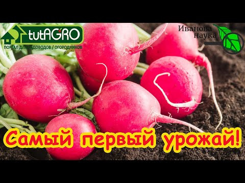 УРОЖАЙ УЖЕ В МАРТЕ! Что первым посеять для самого раннего урожая.