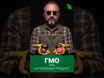 РОССИЯНАМ ПОДСУНУЛИ ОТРАВУ? Пора узнать правду о томатах! В чём опасность ГМО на огороде