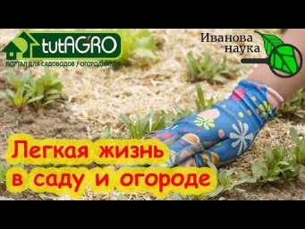 ЕСЛИ СИЛЫ УЖЕ НЕ ТЕ, ЭТИ СОВЕТЫ ВАМ ПОМОГУТ. Спина и колени скажут вам СПАСИБО!