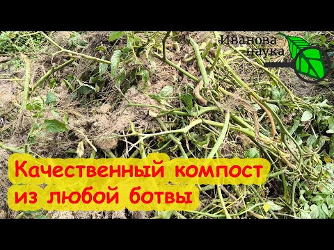 КОМПОСТ ИЗ БОЛЬНОЙ БОТВЫ?! КАК СДЕЛАТЬ? Больную ботву в компост? Качественный компост из ботвы.