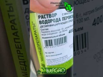 Рассада НЕ ВЫТЯНЕТСЯ! Секрет крепких и коренастых всходов с помощью перекиси водорода. Доступно ВСЕМ