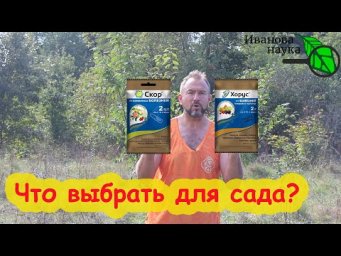 ОБРАБОТКА САДА ОТ БОЛЕЗНЕЙ: что выбрать? Хорус или Скор? Рекомендации для всех случаев.