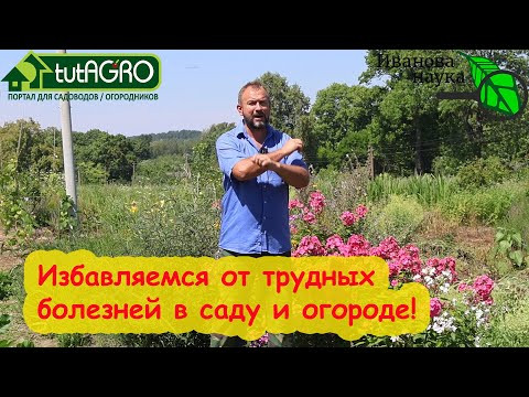 ВСЁ, ЧТО НУЖНО ЗНАТЬ, ЧТОБЫ ИЗБАВИТЬСЯ ОТ БОЛЕЗНЕЙ В ОГОРОДЕ. Чем опрыскивать прямо по плодам.
