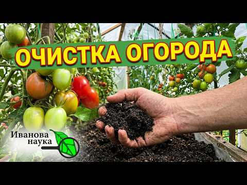 ВЫ ТРАВИТЕ СВОЮ ЗЕМЛЮ! Прекратите лить это в грядки. Осенняя обработка почвы без химии ВЫ ТРАВИТЕ СВОЮ ЗЕМЛЮ! Прекратите лить это в грядки. Осенняя обработка почвы без химии