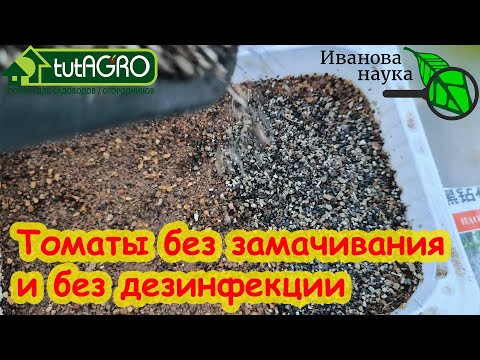 ПОСЕВ ТОМАТА НА РАССАДУ: без замочек и заморочек. СЕЙТЕ ТОМАТЫ ТОЛЬКО ТАК - РАССАДА ОЧЕНЬ КРЕПКАЯ. ПОСЕВ ТОМАТА НА РАССАДУ: без замочек и заморочек. СЕЙТЕ ТОМАТЫ ТОЛЬКО ТАК - РАССАДА ОЧЕНЬ КРЕПКАЯ.