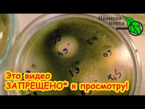 Шокирующая правда о ВОЙНЕ! Это просто ФИНИШ! Война и мир, битва титанов у нас прямо под носом.