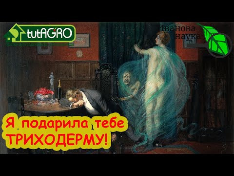 ТРИХОДЕРМА ИЗ ЖЕНСКОГО ОБЩЕЖИТИЯ и ЕЮ ЛЕЧАТ ВЕНЕРИЧЕСКИЕ БОЛЕЗНИ: как это может быть одновременно? ТРИХОДЕРМА ИЗ ЖЕНСКОГО ОБЩЕЖИТИЯ и ЕЮ ЛЕЧАТ ВЕНЕРИЧЕСКИЕ БОЛЕЗНИ: как это может быть одновременно?