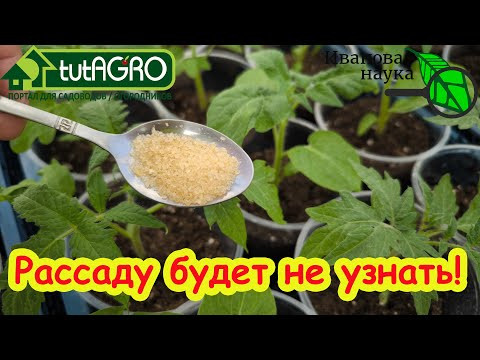 ГОТОВЬТЕ МЕШКИ ПОД УРОЖАЙ! Дешевая натуральная подкормка. Полейте и через 2 дня не узнаете растения. ГОТОВЬТЕ МЕШКИ ПОД УРОЖАЙ! Дешевая натуральная подкормка. Полейте и через 2 дня не узнаете растения.