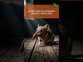 ЭТИ ГРЫЗУНЫ НЕСУТ СМЕРТЬ! Как спасти себя от чумы и других смертельно опасных болезней