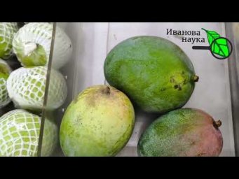 Чуть не купил 5 л пальмового масла! НЕНАВИЖУ ШОППИНГ! Но этот мне понравился!
