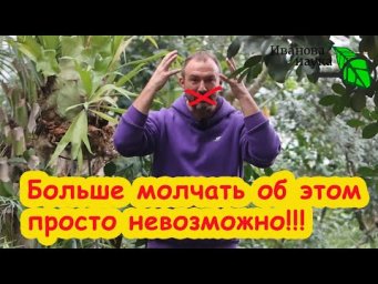 НЕ МОГУ БОЛЬШЕ МОЛЧАТЬ: для чего я создал БЛОГ Иванова Наука и зачем полез в ЗОЖ.