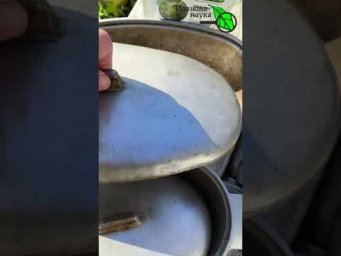 Лучшая посуда для приготовления пищи. Посуда для здоровья.