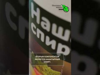 Рассада завяла или пожелтела? Скорая помощь для рассады: как спасти и укрепить  за 1 день.