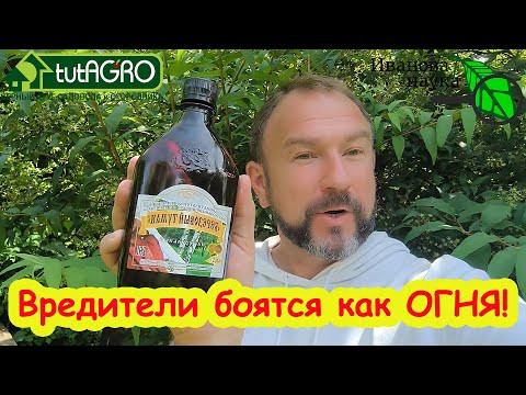 ТРОЙНОЙ УДАР ПО СЛИЗНЯМ и МУРАВЬЯМ! Лучшее проверенное средство от муравьев и слизней. ТРОЙНОЙ УДАР ПО СЛИЗНЯМ и МУРАВЬЯМ! Лучшее проверенное средство от муравьев и слизней.