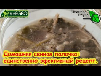 СЕННАЯ ПАЛОЧКА СВОИМИ РУКАМИ: единственный эффективный рецепт. Не варите сено - это ни о чем.