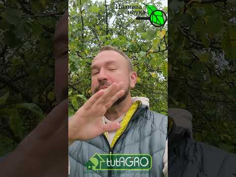 КАКОЙ КУПОРОС ЛУЧШЕ ДЛЯ САДА: медный или железный?