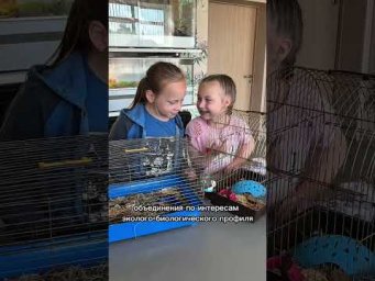 Хотите, чтобы ребенок развивался гармонично? Не знаете, как отвлечь ребенка от телефона? Вот решение