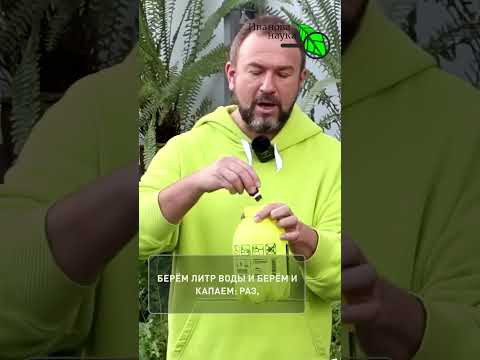 Рассада ПРЁТ ВВЕРХ? Остановите и заставьте рассаду ТОЛСТЕТЬ! Рассада ПРЁТ ВВЕРХ? Остановите и заставьте рассаду ТОЛСТЕТЬ!