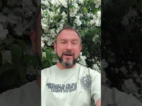 Встречаемся 13 июня 2024 года в Удачном огороде на Хоружей 15 в Минске! Встречаемся 13 июня 2024 года в Удачном огороде на Хоружей 15 в Минске!