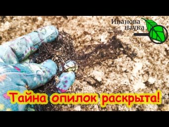 САМАЯ БОЛЬШАЯ ОПАСНОСТЬ ОПИЛОК НА УЧАСТКЕ. Как правильно использовать опилки в саду и в огороде.