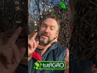 Встречаемся и экономим: Скидка на ВСЁ! 25 декабря 2025 года - счастливый четверг!