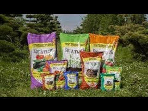 Какой грунт лучше для рассады. Грунтов разных очень много. Как разобраться какой лучше. Какой грунт лучше для рассады. Грунтов разных очень много. Как разобраться какой лучше.