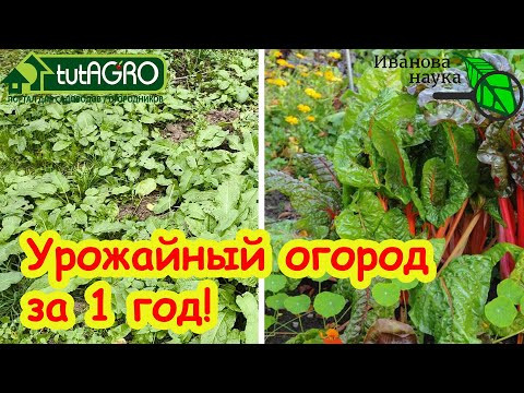 ПОДНЯЛ ЦЕЛИНУ БЕЗ УСИЛИЙ, ГЕРБИЦИДОВ и ПЕРЕКОПКИ: твердый дерн стал как пирожное! Ни одного сорняка.